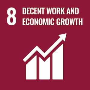 SDG numéro 8: decent work and economic growth