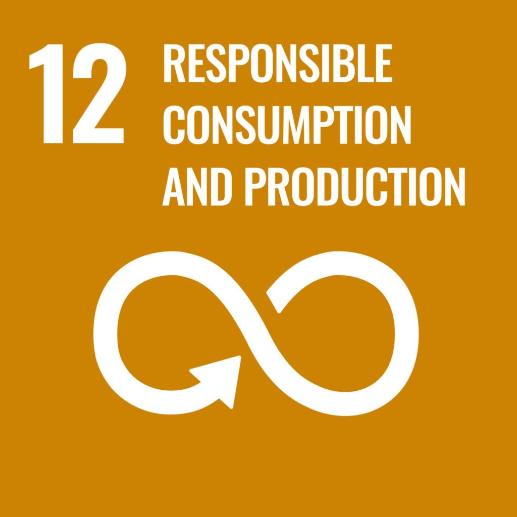 SDG numéro 12: responsible consumption and production